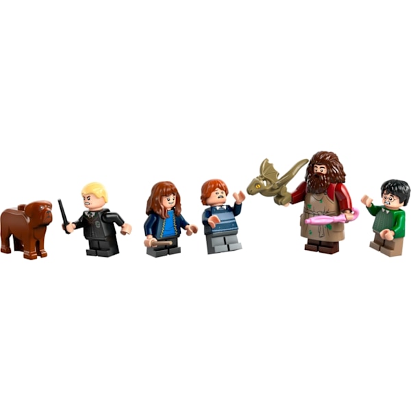 LEGO Harry Potter 76428  - Hagridin mökki: Odottamaton vierailu