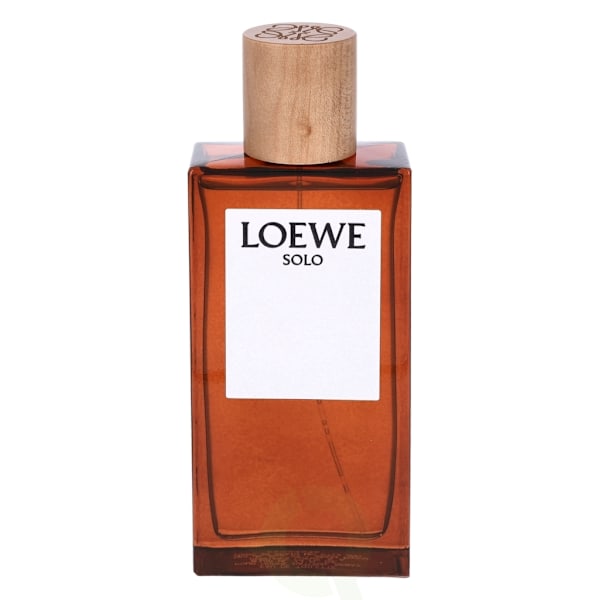 Loewe Solo Pour Homme Edt Spray 100 ml