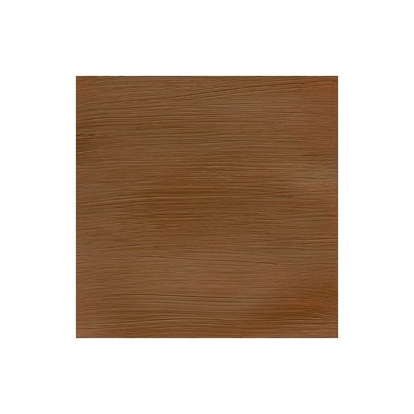 WINSOR Proff. acrylic 200ml raw sienna 552