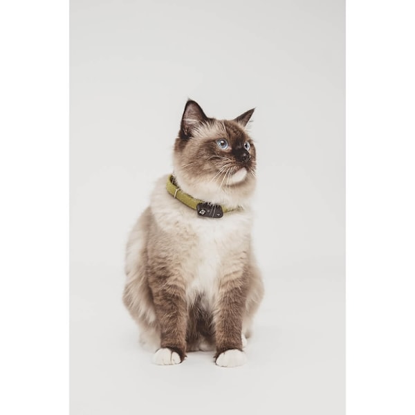 TICKLESS Flåtbeskyttelse Mini Kat
