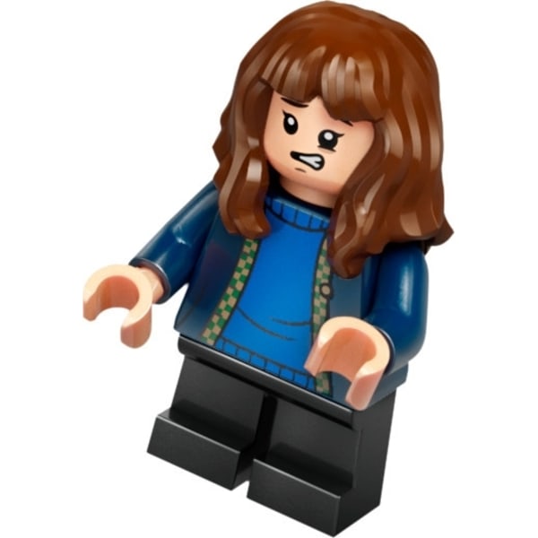 LEGO Harry Potter 76428  - Hagridin mökki: Odottamaton vierailu