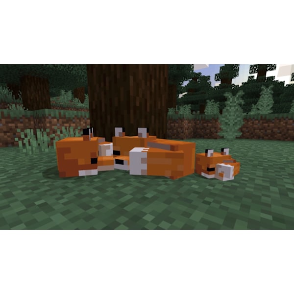 Minecraft - Starter Edition (PS4)