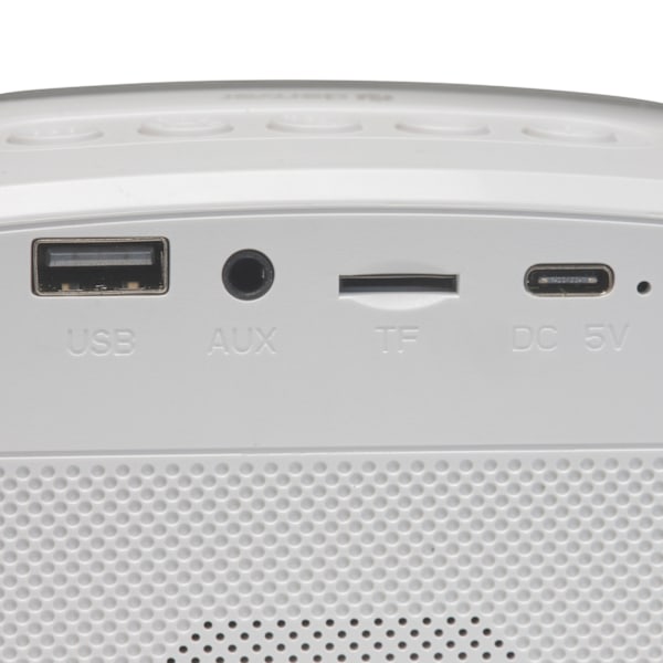 Denver Högtalare Bluetooth Mikrofon Karaoke Bluetooth BTM-610