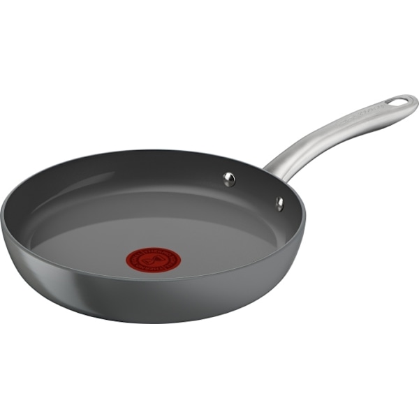 Tefal (RE)NEW+ -paistinpannu, 20 cm, keraaminen pinnoite, harmaa