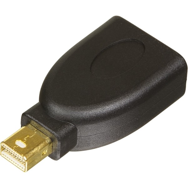 DELTACO DisplayPort-adapter, Mini DisplayPort 20-pin han til DisplayPo