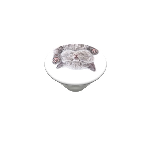 PopSockets Cat Nap Avtagbart Grip med Ställfunktion