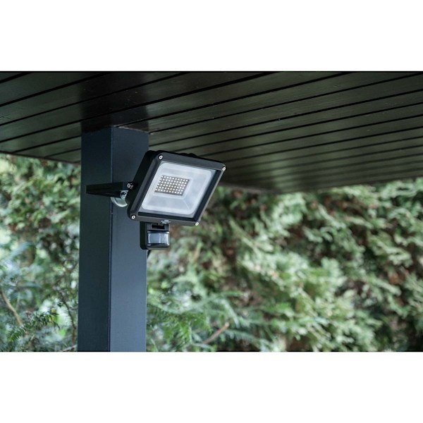 brennenstuhl LED Spotlight JARO 4060 P (LED projektør til vægmontering til udendørs IP65, 30W, 3450lm, 6500K, med bevægelsesdetektor)