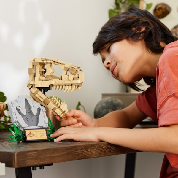 LEGO Jurassic World 76964  - Dinosaur Fossils: T. rex Skull