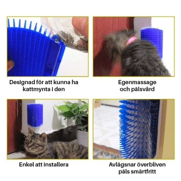 Kattmasserare, Blå