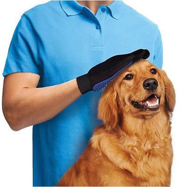 Harjakäsine eläimille, Sininen