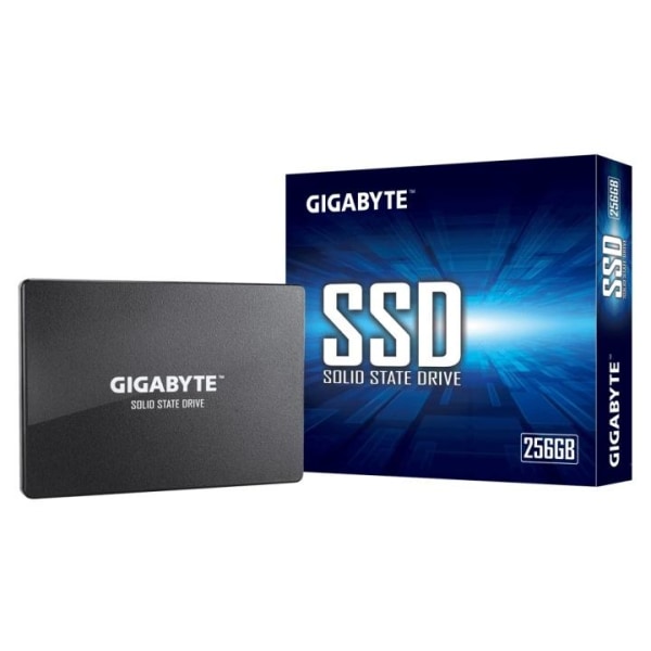 Gigabyte GP-GSTFS31256GTND SSD-hårddisk 2.5" 256 GB Serial ATA I
