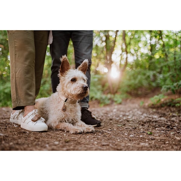 TICKLESS Tick Repellent ECOPET