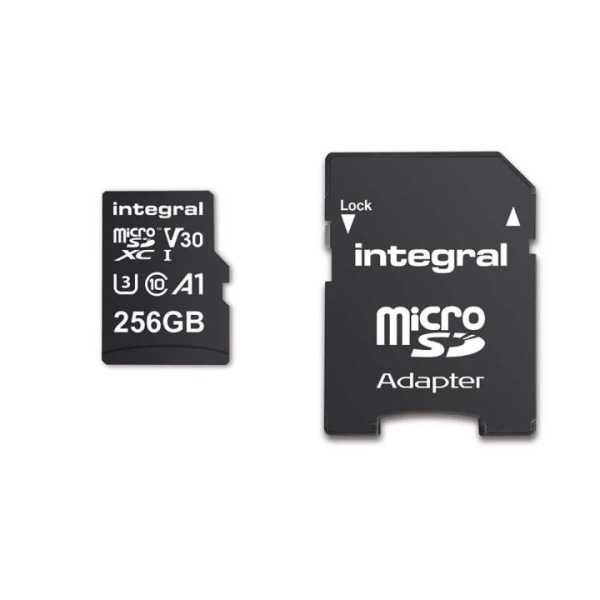 INTEGRAL 256 GB höghastighets microSDHC/XC V30 UHS-I U3 minnesko