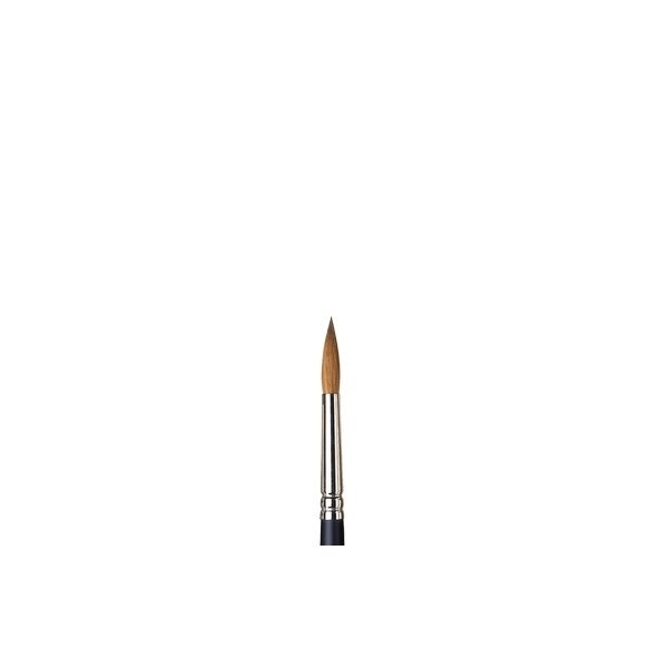 WINSOR Proff. watercolour sable brush round No. 8