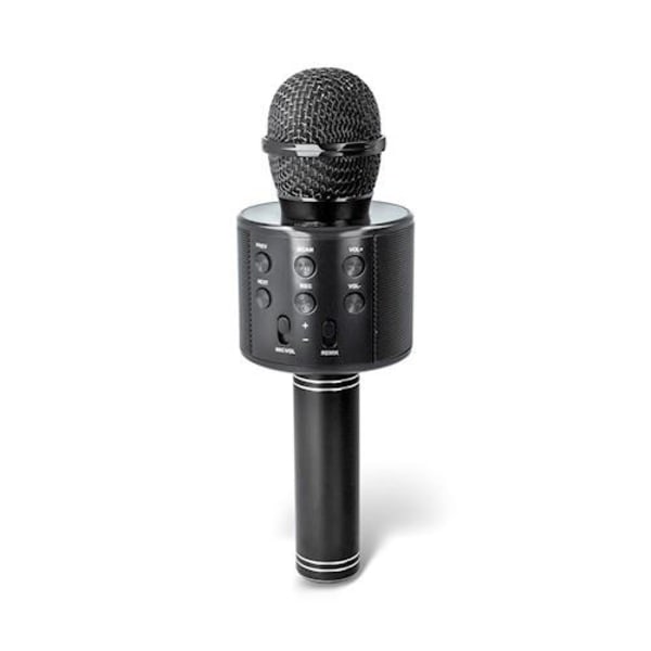 Maxlife Mikrofon med Bluetooth högtalare inkl. Väska, MX-300, Sv