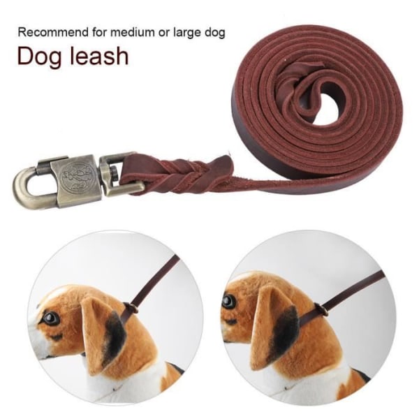HURRISE Hundkoppel Slitstarkt läderträningskoppel för medelstora hundar