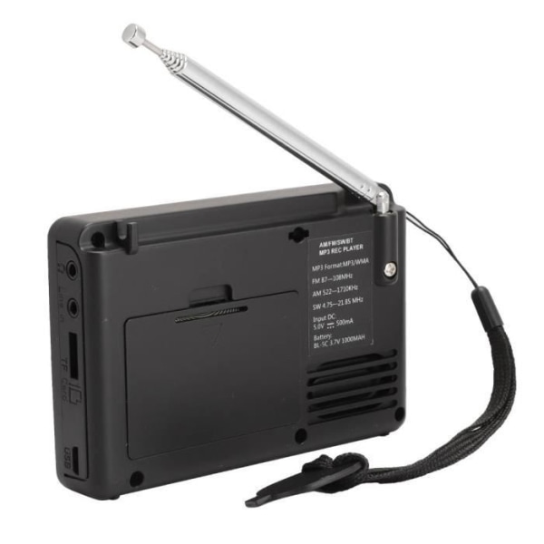 Bärbar radio - HURRISE - Minneskort - 1000 MAH batteri - Digital display