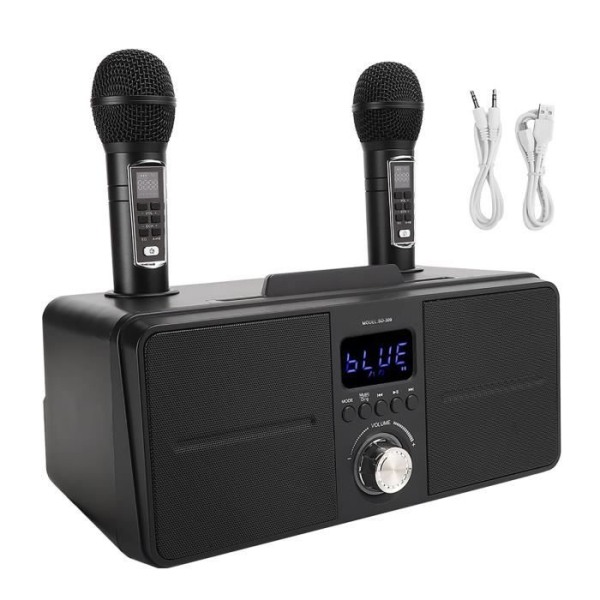 HURRISE Sonner högkvalitativt ljudkit Family KTV Inbyggd trådlös mikrofon Live Audio Card Karaoke-högtalare