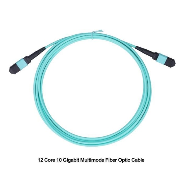 BEL-7643670041794-12 kärna fiberoptisk kabel 10 Gigabit optisk fiberkabel Multimode PVC Fiber Patch Kabel 12 ledare