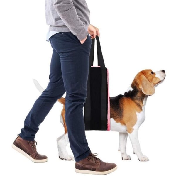 HURRISE Hundsele Hundsele Enkel Effektiv Lätt att flytta Kompakt Bärbar hopfällbar Husdjurshjälptillbehör för