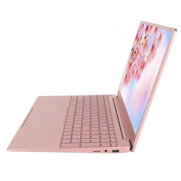 Fdit Laptop 15 Pink Laptop 15,6 tums IPS-skärm CPU Quad Core 16GB RAM 512GB ROM-enhet