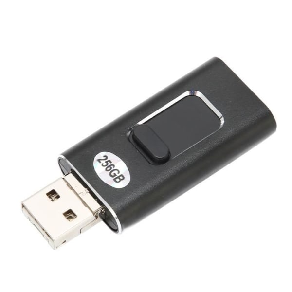 HURRISE Dubbelt USB-minne USB typ C-minne, 256 GB USB C-minne Bred applikation för interna datortelefoner