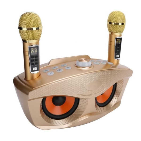 HURRISE Karaoke Machine Outdoor Bluetooth 4.2 Family Karaoke Högtalare Dubbel Stereo Handhållen Trådlös Mikrofon (Guld