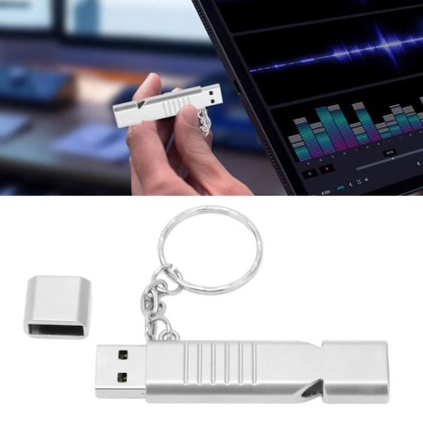 HURRISE Flash Drive USB 2.0 Portabel och vattentät 2 i 1, med visselpipa, för datorförvaringsbox 64 GB 256 GB