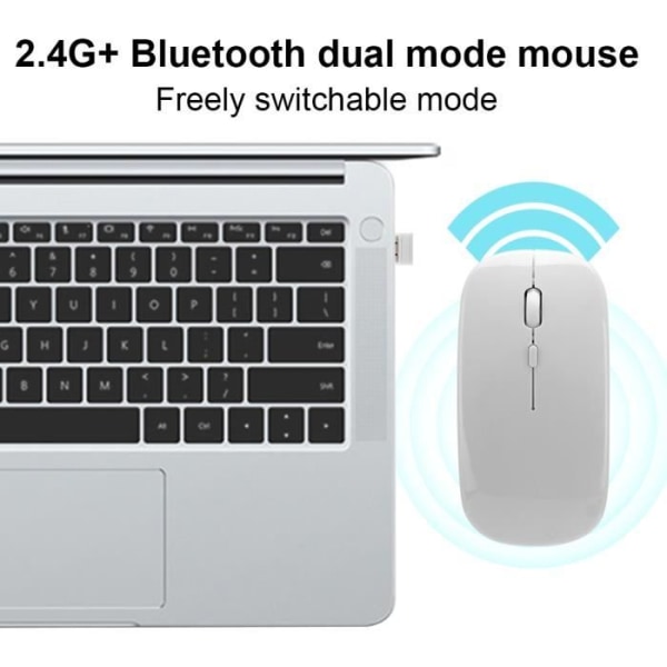 HURRISE Bluetooth-mus Dual Mode Trådlös Bluetooth-mus 2.4G för Windows datortangentbord Vit
