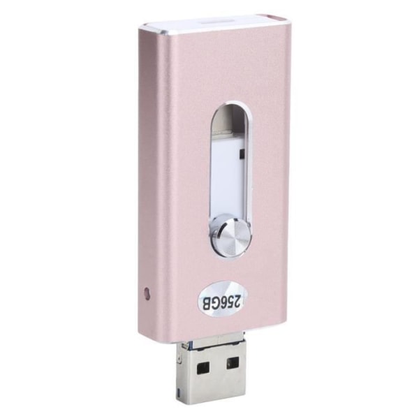 HURRISE 256 GB USB Stick - Flashminne - USB - Extra lagringsutrymme för Android / iOS / Windows