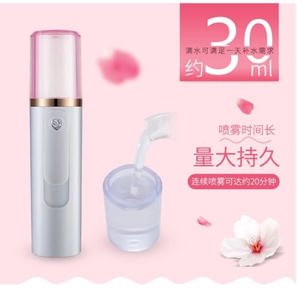 HURRISE Cosmetic Mist Nano Facial Handy Mist Face Nano Sprayer Atomization Cold Mister USB Strömförsörjning Rosa