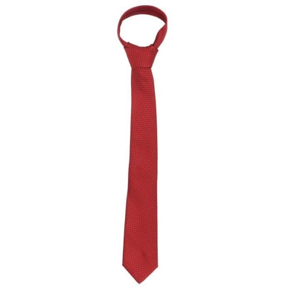 HURRISE slips herr slips herr, 146 cm lång, rutiga prickmönster dekorativ slips och gör-det-själv-presentask