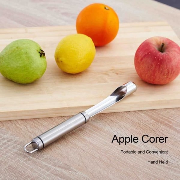 HURRISE Core Remover Multifunktionell Frukt Corer Hållbar Solid Väggmonterad Apple Corer Rostfritt stål