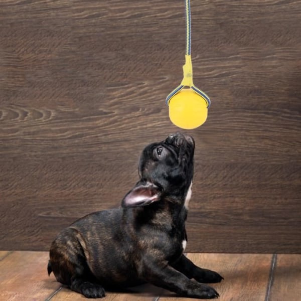 VINGVO Dog Ball Toy Interactive Bite Resistant Chew Toys Ball for Pet Dog EVA