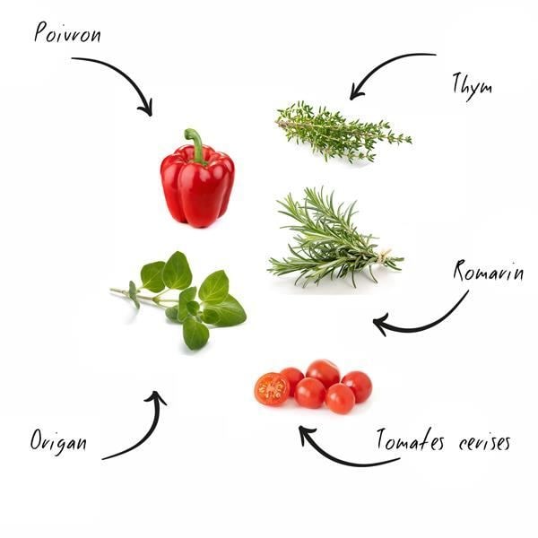 Mini Organic BBQ Party Kit* - Kasvis- ja aromaattiset siemenet