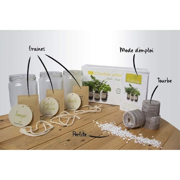 EKOLOGISK* aromatisk örtsats – gul (dill, salvia, citronbasilikafrön)