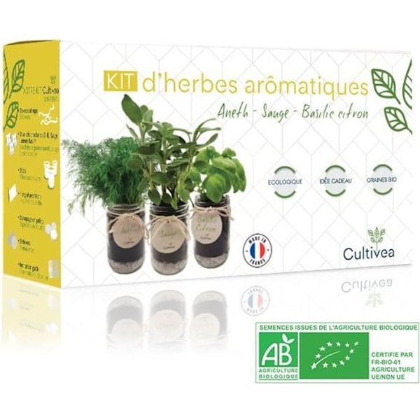 EKOLOGISK* aromatisk örtsats – gul (dill, salvia, citronbasilikafrön)