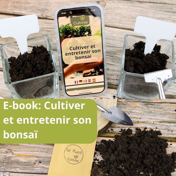 CULTIVEA – Väska med 32 verktyg för bonsai – Verktyg i stål