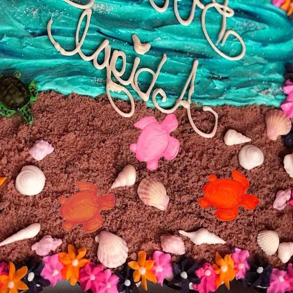 6 stk. Skildpadde Silikoneform Skildpadde Slik Fondantform Chokoladeform til Desserter DIY Kagedekorationsværktøjer