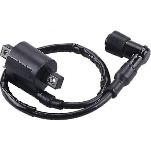 Tändspole Kompatibel Med Yamaha Pw 50 Pw50 1981-2009 Pw 80 Pw80 1981-2009【DH】