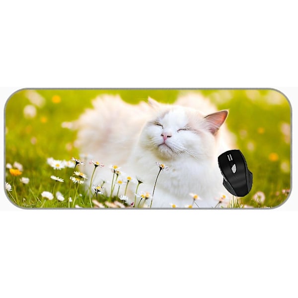 (750X300X3) XXL Professionel Stor Musemåtte Sunny Summer Blur Cat Flower Grass XXL Stor Musemåtte