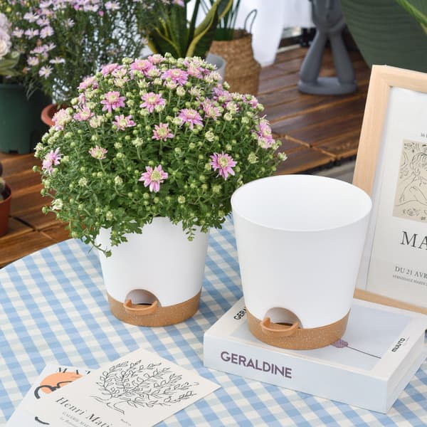5-pakning - Selvvanningspotte / Selvvanende / Blomstervanner Hvit 5-pakning