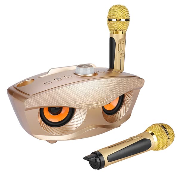 Hem KTV Karaoke Bluetooth-kaiutin 2 mikrofonilla, kulta