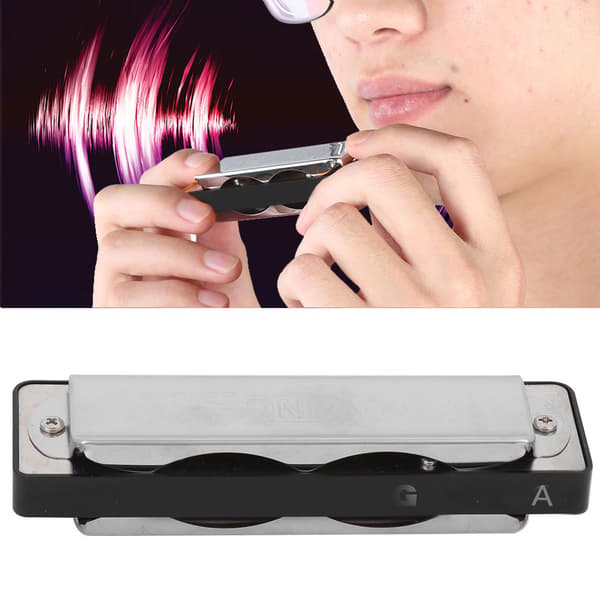 Blues Harmonica 10 Huller A Toneart ABS Resin Professionelt Begynder Blæseinstrument Sort