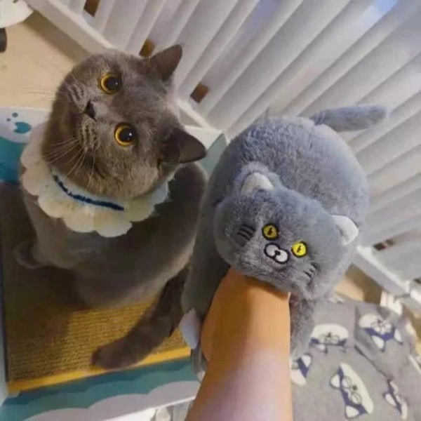 Hugger Cat Tofflor 42—43