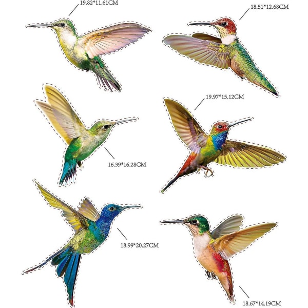 6 delar Hummingbird Window Clings Anti-kollisionsdekaler