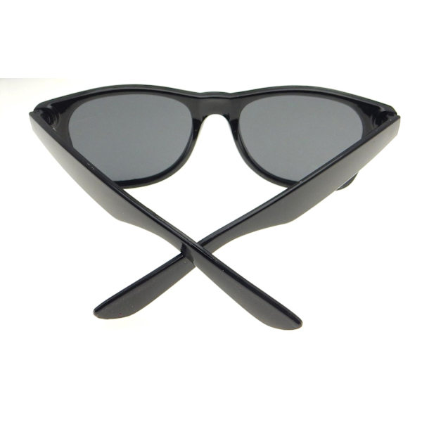 2-pack en solglasögon wayfarer - case black