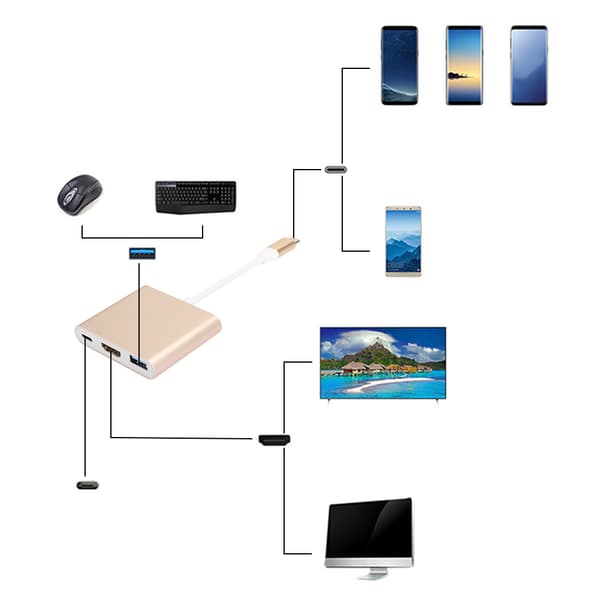 3 i 1 USB C til HDMI Adapter Konverter Guld Metal Etui