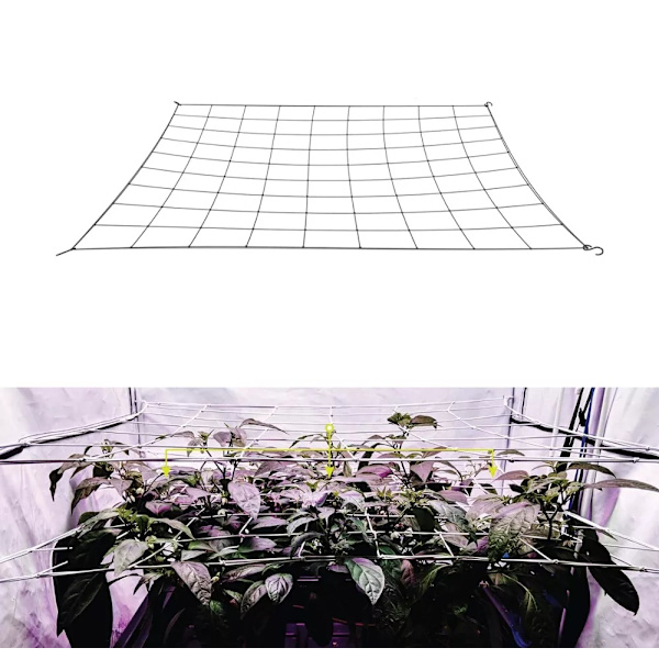 Hydroponic Grow Room Scrog Net Tält Växtstödsnät 120*240cm