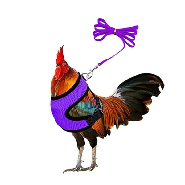 Justerbar kycklingsele Bekväm hönsväst Andas Purple M